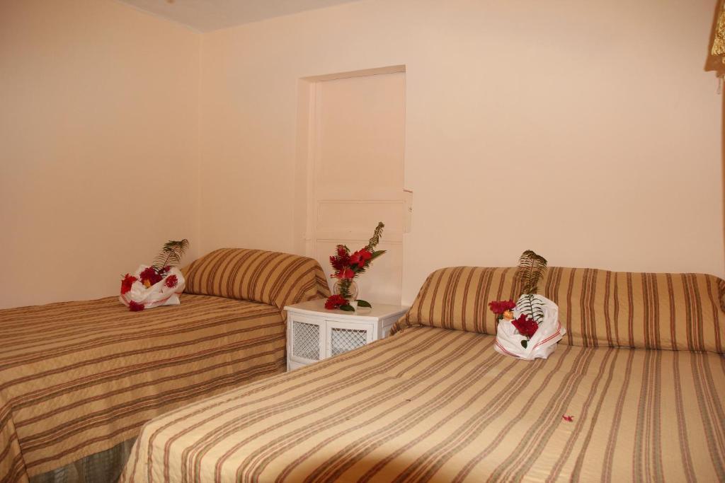 Executive Shaw Park Guest House Ocho Rios Cameră foto