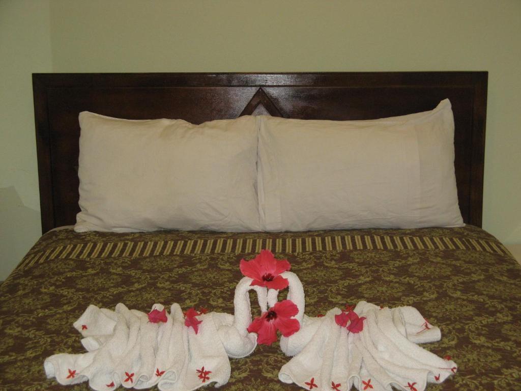 Executive Shaw Park Guest House Ocho Rios Exterior foto
